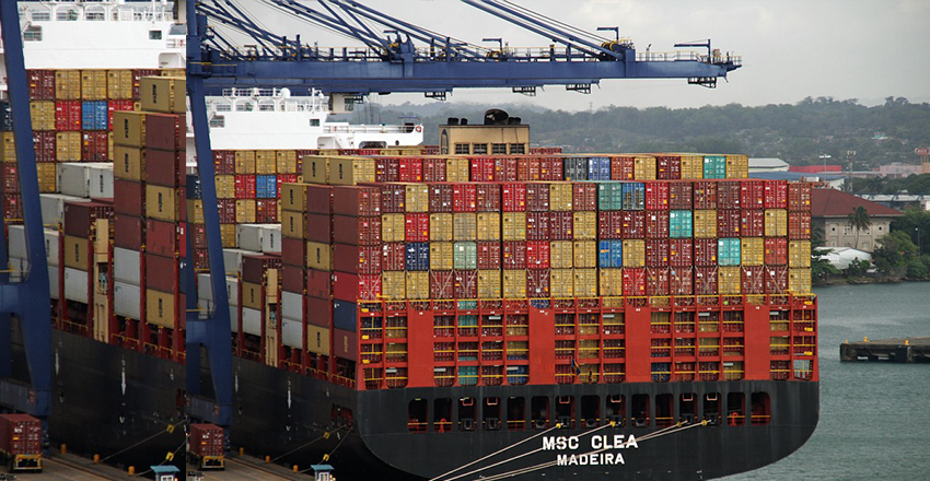 Packaging & Export